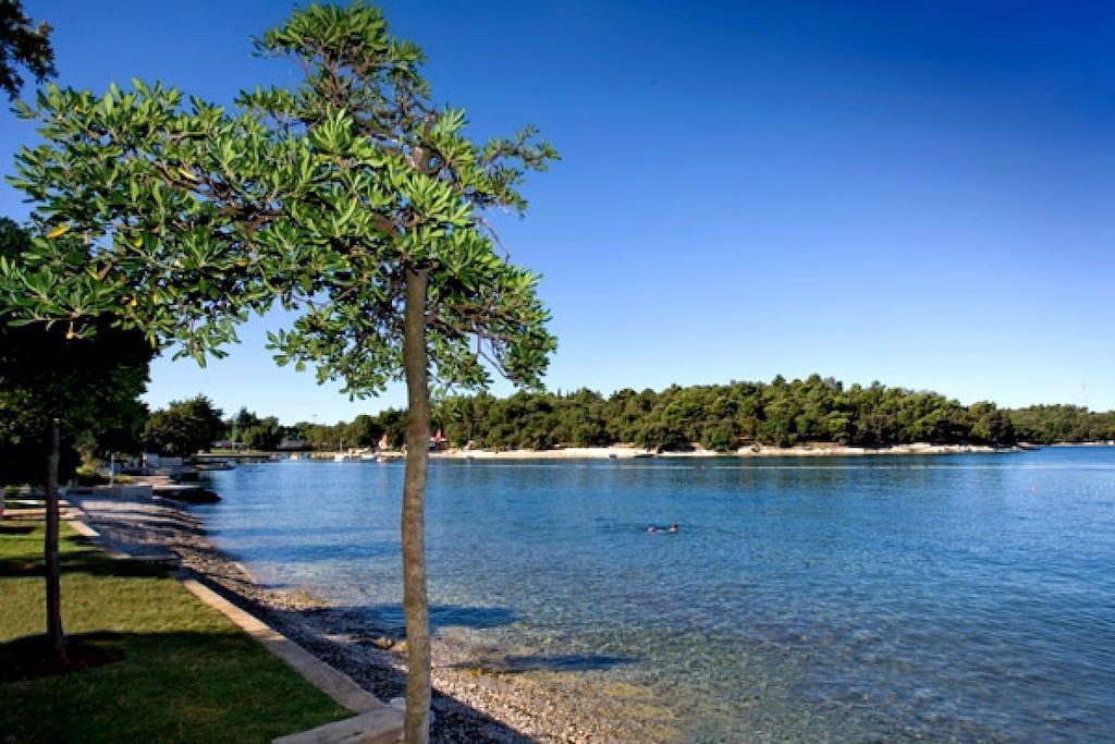 Hotel Zorna Plava Laguna 포레치 외부 사진